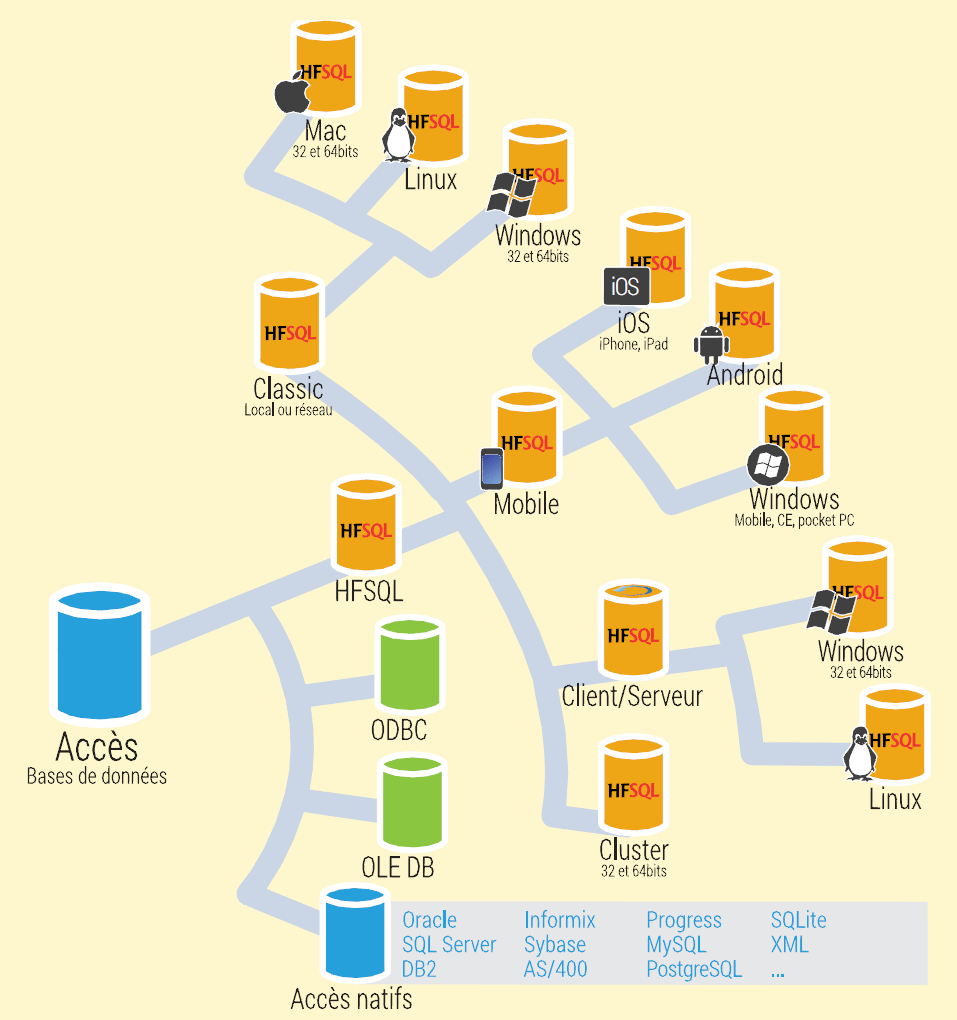 HFSQL : Puissante Base de Données